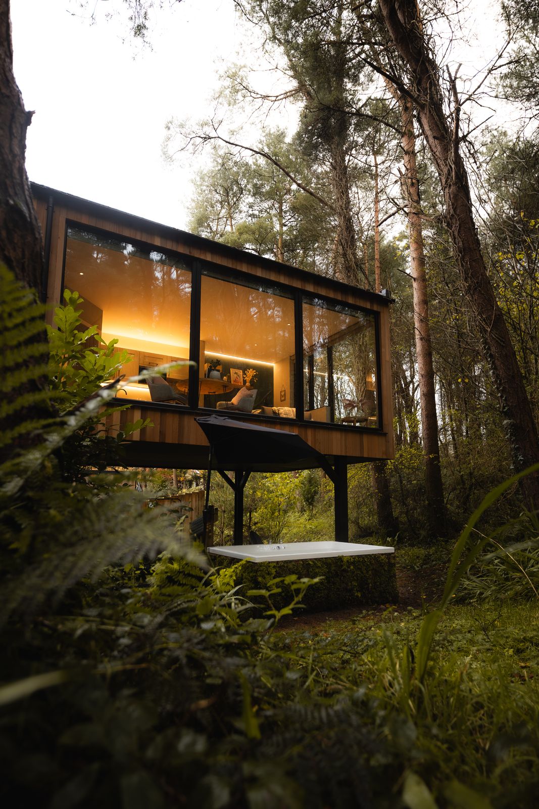 The cabin glowing among pine trees at blue hour