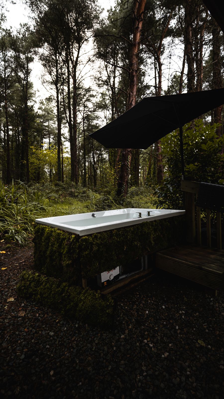 Hot tub beneath a moss covered branch