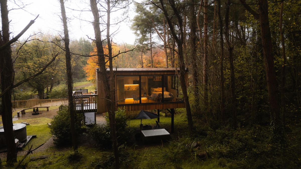 Burrenmore Nest cabin glowing among autumn pines