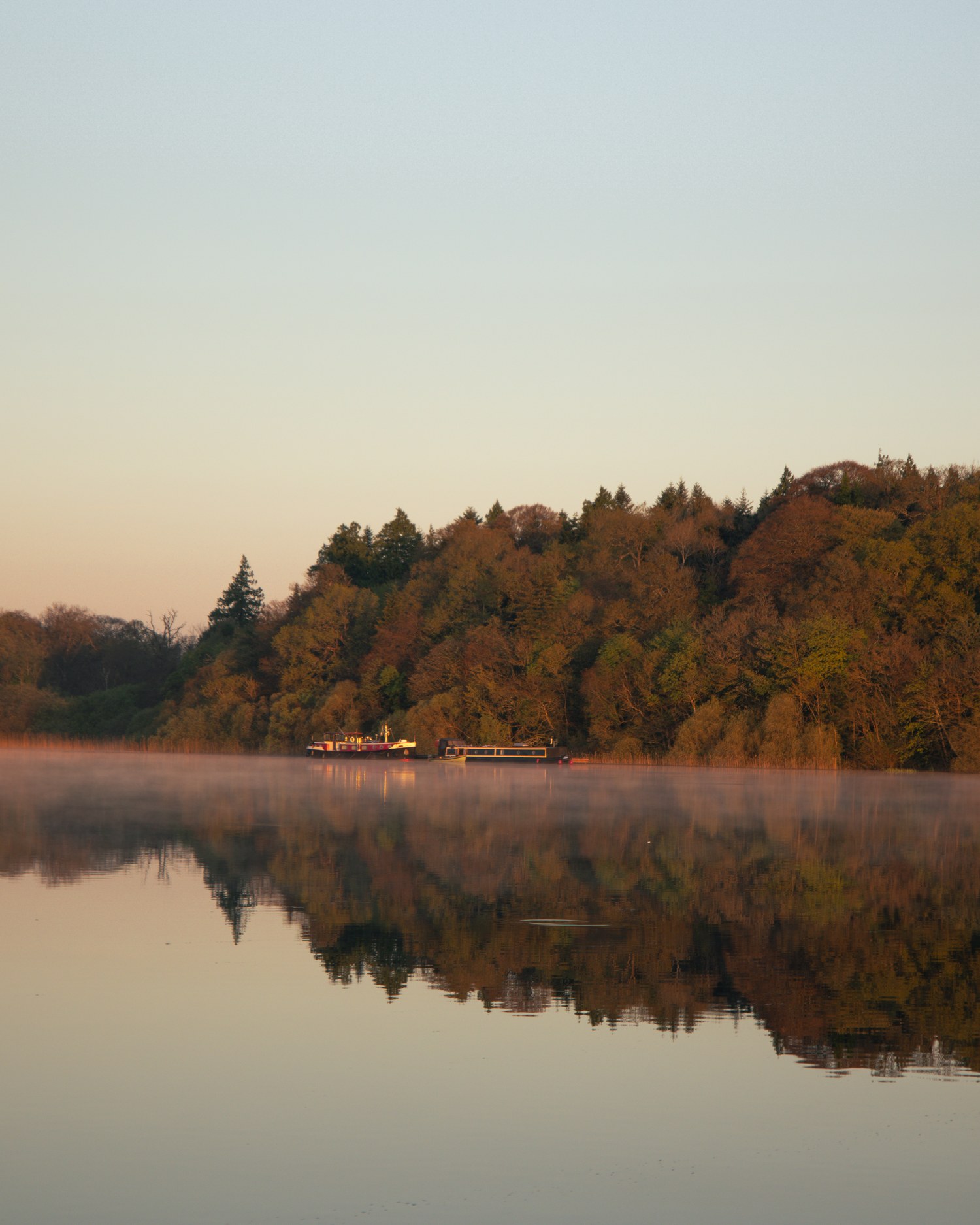 Mist lying over a wooded shoreline at first light