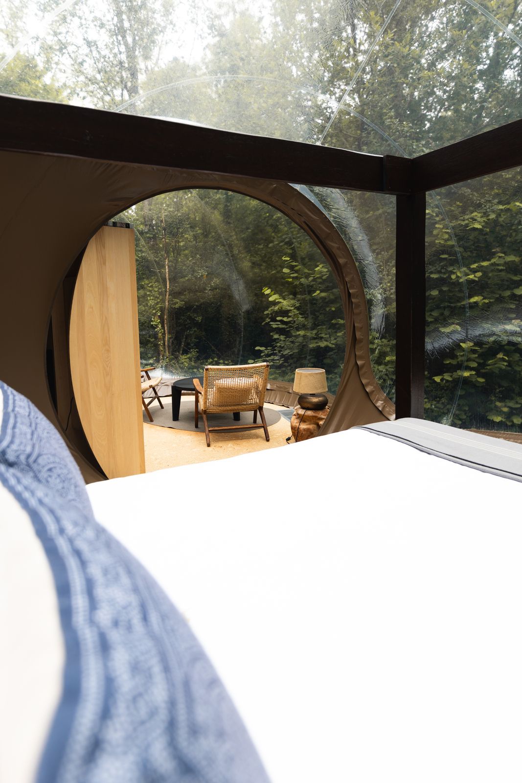 Bed inside a transparent bubble dome, looking out into the forest