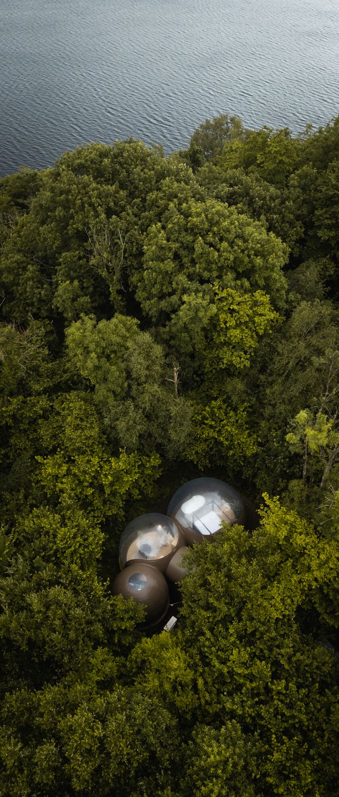 Bubble domes tucked into the treeline from above