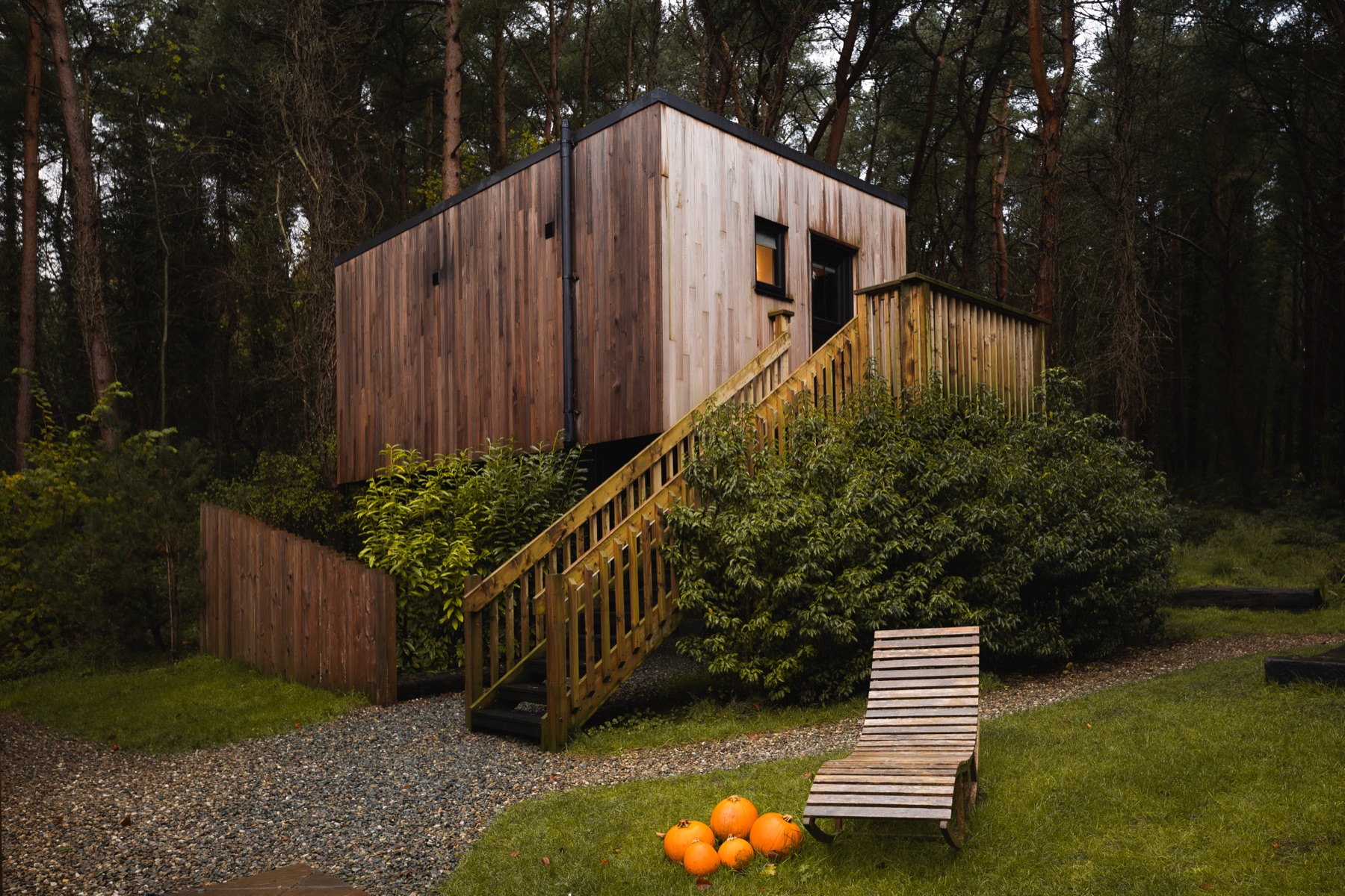 Burrenmore Nest cabin elevated on stilts among pine trees, County Derry