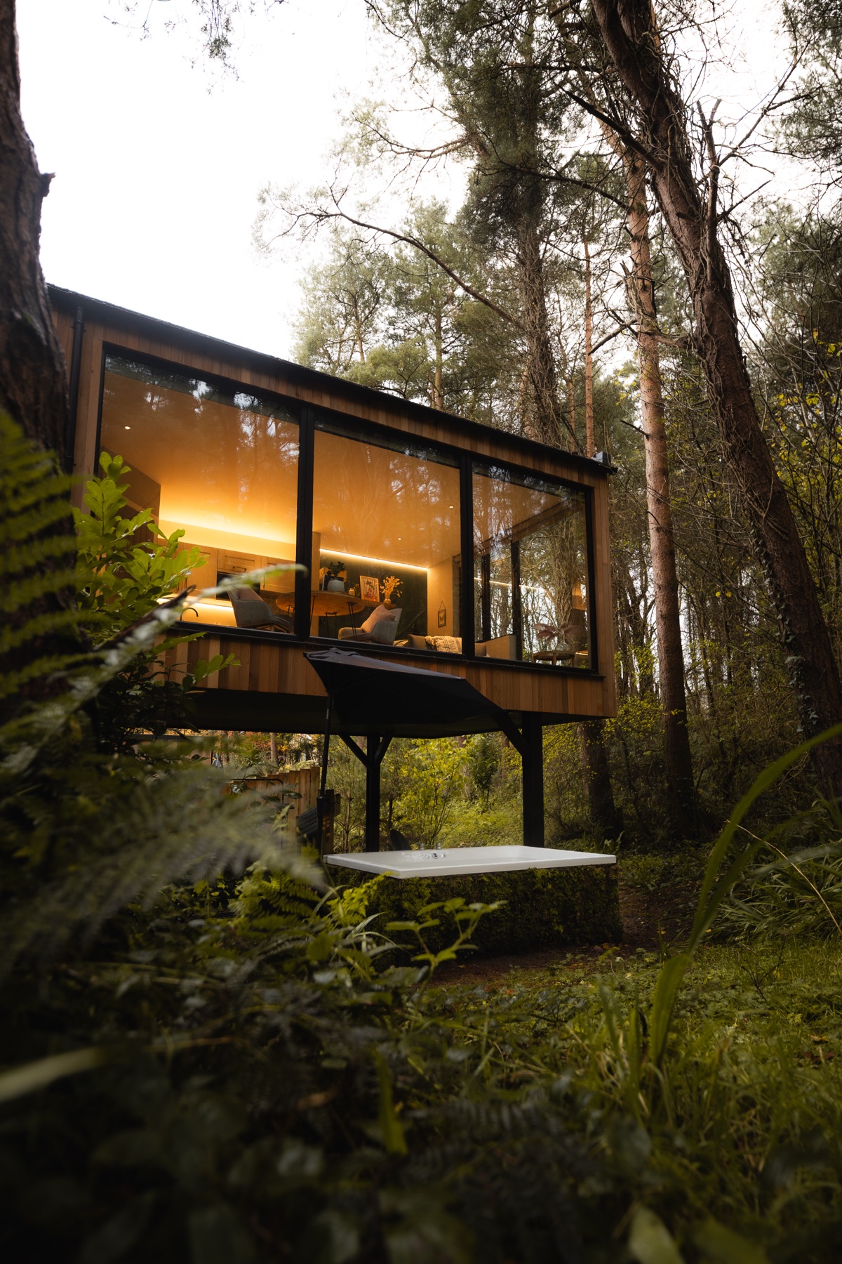 Burrenmore Nest cabin among the pines on the north coast, County Derry