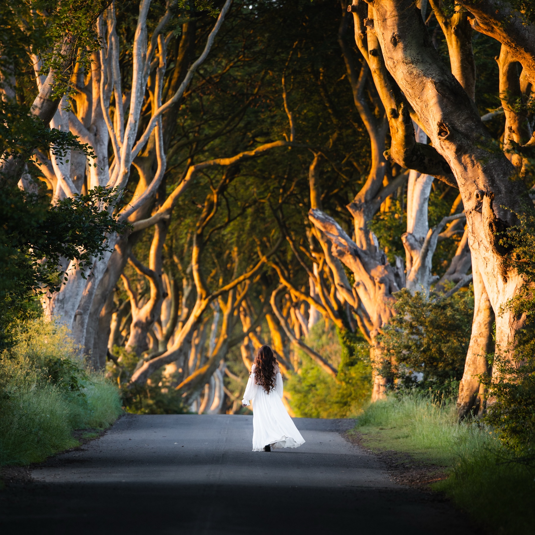A woman in a white dress walking beneath the beech tree tunnel of the Dark Hedges at first light, County Antrim