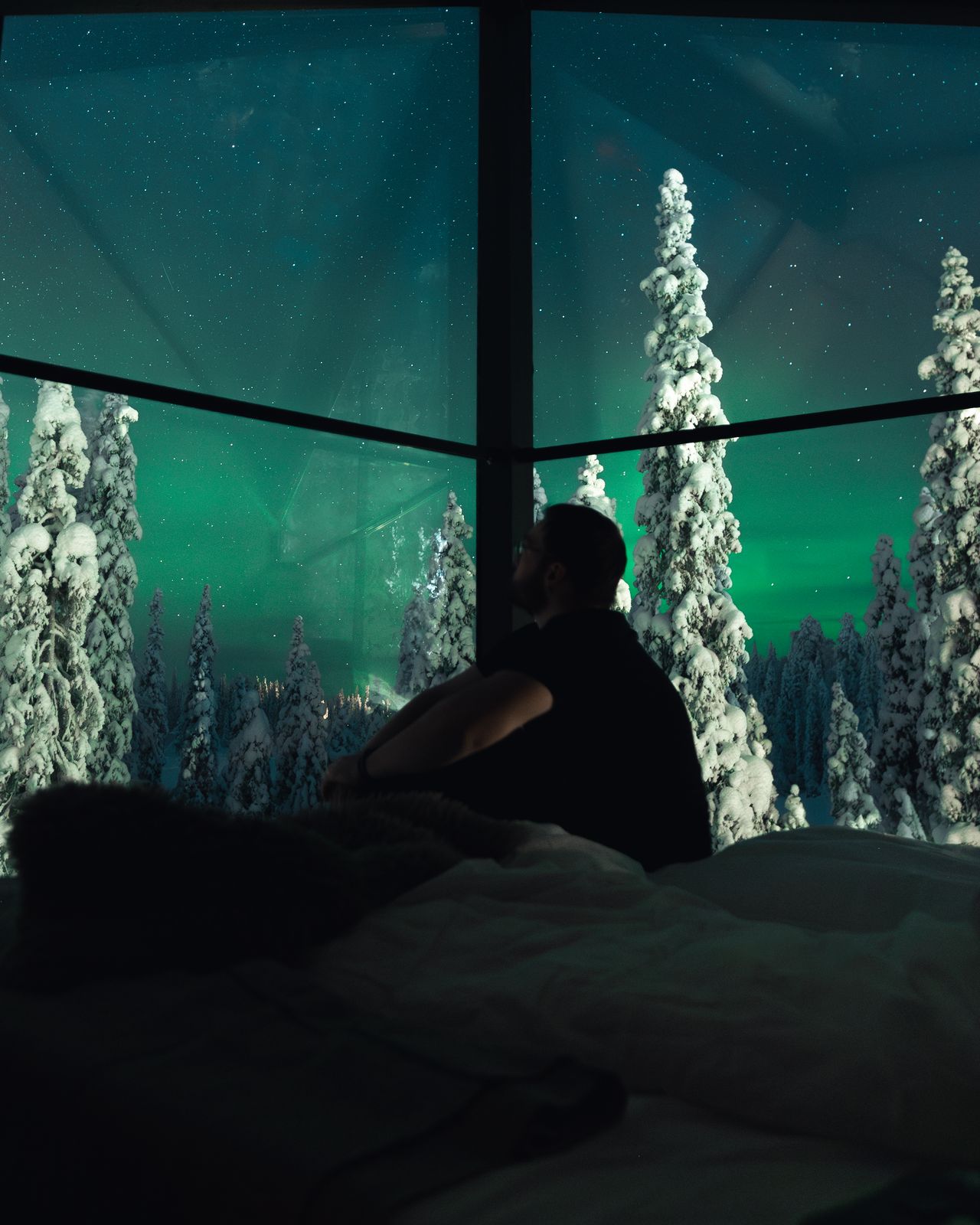 Aurora seen through the glass wall of the cabin