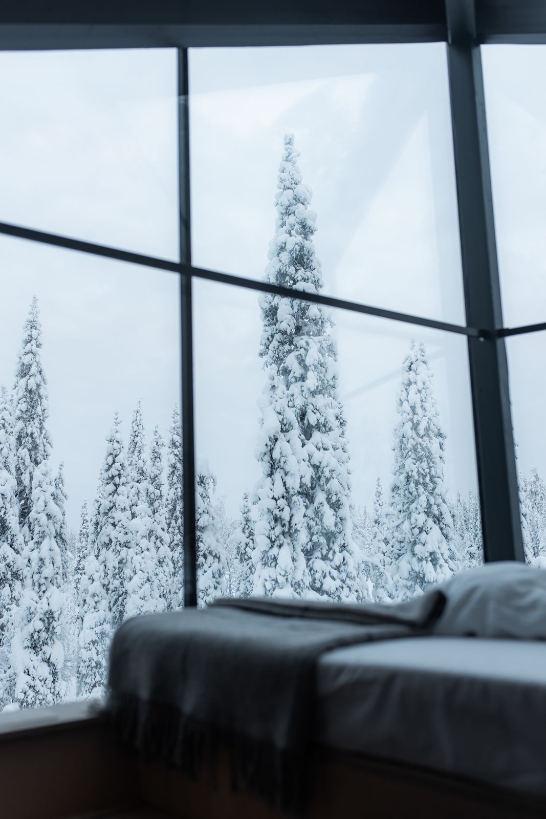 Bed facing a wall of glass and snow laden spruce