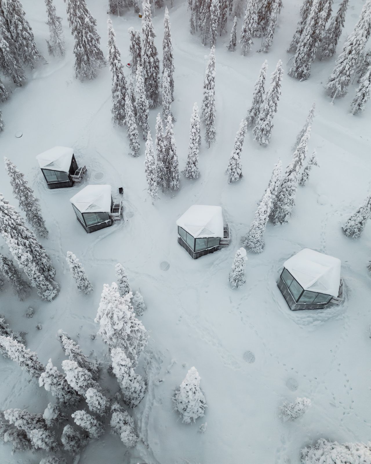 Aerial view of the cabins scattered through the white forest