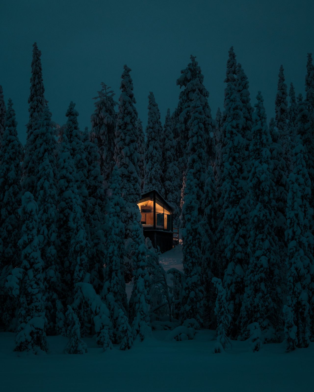 A single lit cabin deep among snow covered trees