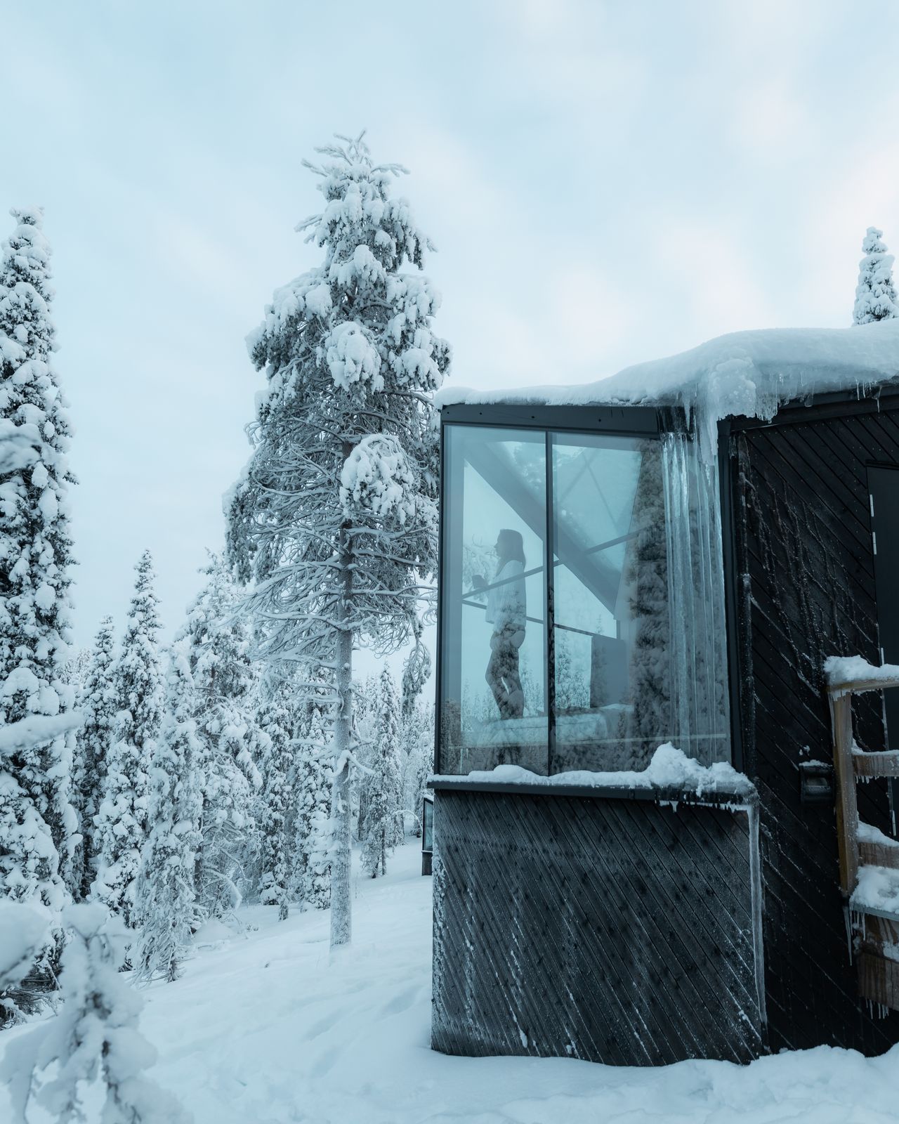 Snow laden spruce framing the cabin glazing