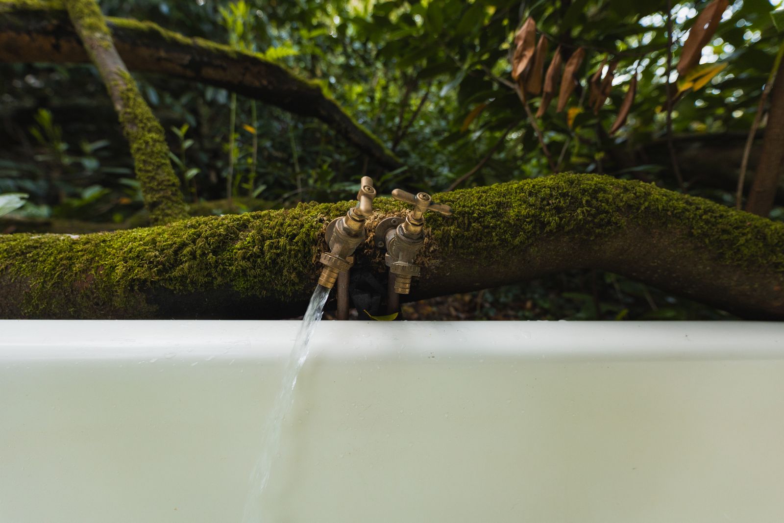 Water running into the bath from a mossy branch
