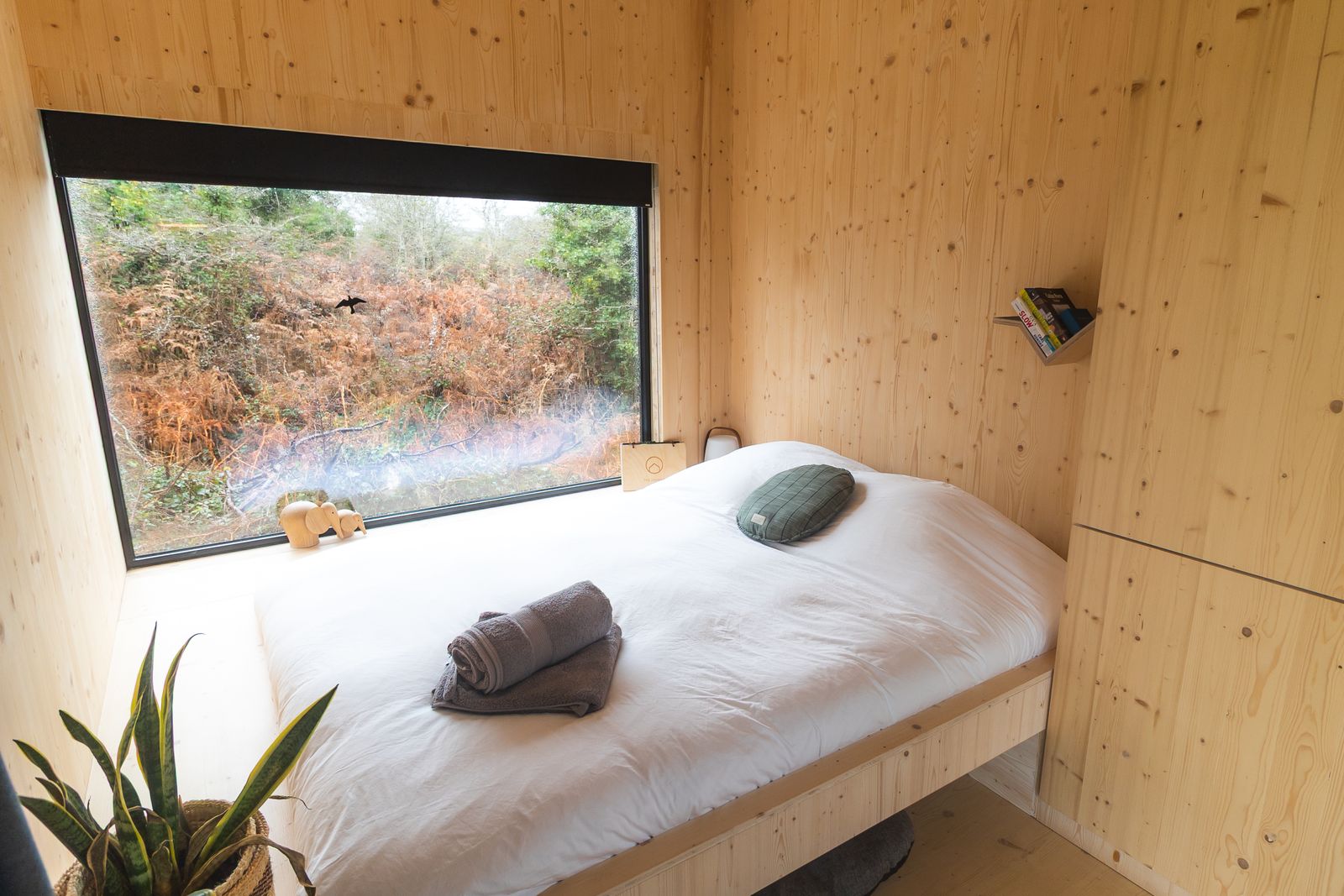 The cabin at dusk with warm interior light
